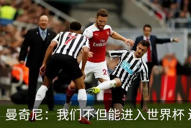 曼奇尼：我们不但能进入世界杯 还能赢得冠军